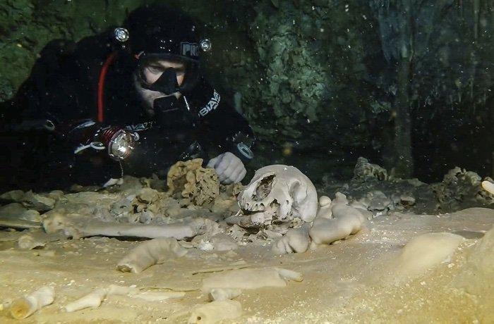 Среди находок, которые водолазы уже обнаружили, - человеческие останки, включая скелеты и, как кажется, сожжены человеческие кости, которым по крайней мере 9000 лет, что свидетельствует о том, что человеческая деятельность в Восточном Мексиканском регионе нисходит на тысячи лет раньше, чем думали исследователи , возможно, как часть древнего торгового маршрута Майя